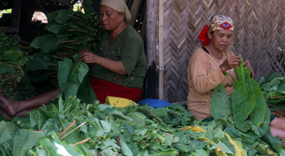 Ironi Cukai Rp226 Triliun, Gus Lilur Desak Keadilan bagi Pabrik Rokok Rakyat