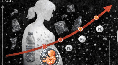 Ngeri, Mikroplastik Ditemukan dalam Darah dan Rahim Perempuan Jatim