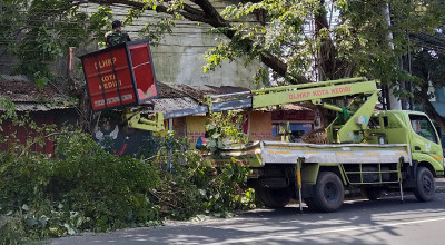 Rawan Tumbang, DLHKP Kota Kediri Rutin Pangkas Pohon Hadapi Cuaca Ekstrem