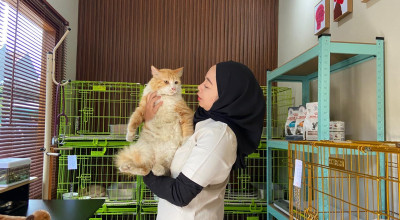 Jasa Penitipan Hewan di Kediri Ramai Jelang Lebaran, Anabul Aman Saat Pemilik Mudik