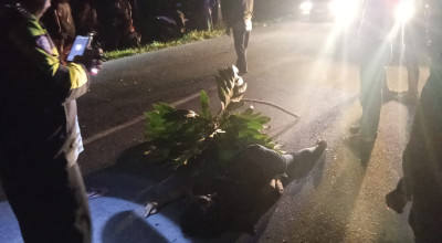 Terlibat Kecelakaan Beruntun, Pemotor di Tulungagung Tewas