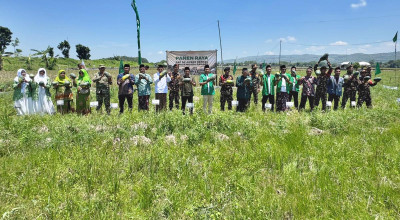 Panen Semangka Kuning Tuban, Ansor Siap Pasok MBG
