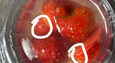 Viral Menu MBG Mengandung Belatung di Malang, Ini Tanggapan Pengelola SPPG