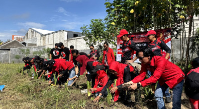 Antisipasi Kelangkaan Pangan, PDIP Jember Gerak Cepat Tanam Pendamping Nasi
