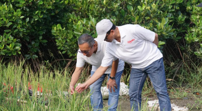 ITS Sulap Lahan Asin Jadi Sawah Produktif