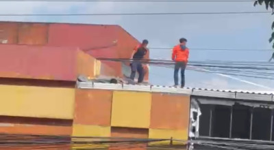 Kejar Layangan hingga Atap Toko Bangunan, Bocah di Jember Tewas Kesetrum