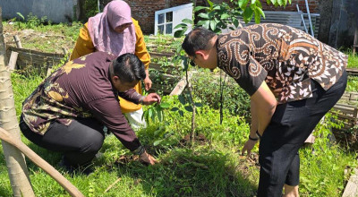 BRI Salurkan Bibit di Surabaya, Dorong Urban Farming Warga