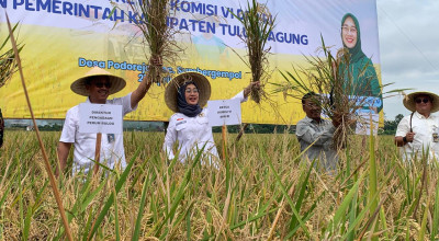 Anggota DPR RI Anggia Ermarini Apresiasi Hasil Panen Beras di Tulungagung
