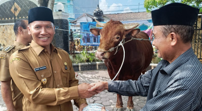 Sapi Gemoy Hewan Kurban Presiden Prabowo di Tulungagung Bernama Fajar