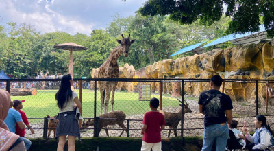 Prakiraan Cuaca Wisata Jatim: Telaga Sarangan Hujan, KBS-Taman Safari Cerah
