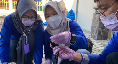 Disnakeswan Tulungagung Temukan Cacing Hati di Sejumlah Hewan Kurban