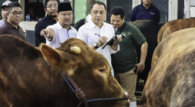Pemkot Surabaya Perketat Pengawasan Hewan Kurban, Wajib Vaksin PMK
