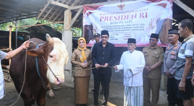 Wabup Syah Serahkan Sapi Kurban Prabowo di Trenggalek, Dibeli dari Pogalan