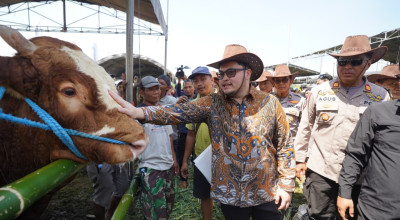 Targetkan Jadi Terbaik se-Jatim, Mas Dhito Dorong Kontes Sapi Kediri Digelar Rutin