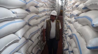 Bulog Tulungagung Mulai Salurkan Jagung SPHP Untuk Peternak Ayam