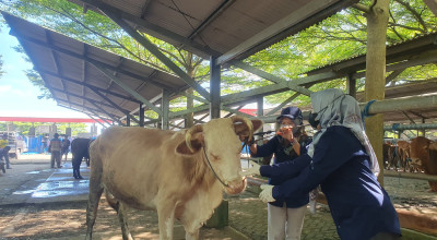 Jelang Idul Adha, Disnakeswan Tulungagung Perketat Pengawasan Lalu Lintas Ternak