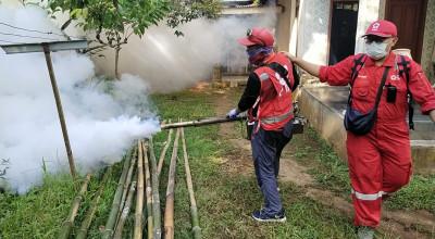 Belasan Warga Jember Terserang DBD, PMI Lakukan Fogging dan PSN Serentak