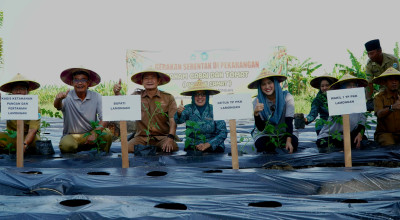 Lamongan Inisiasi Gerakan Tanam Cabai dan Tomat untuk Kendalikan Inflasi