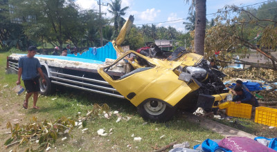 Tabrak Pohon, Truk Pengangkut Ikan Asal Lamongan Terguling di JLS Tulungagung