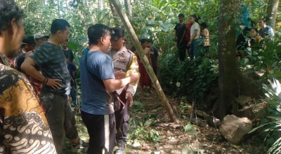 Pencari Kayu Temukan Kerangka Manusia di Bukit Tungu Kalisat Jember