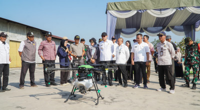 Ribuan Hektar Sawah di Lamongan Diserang Wereng, Bupati Kerahkan Drone