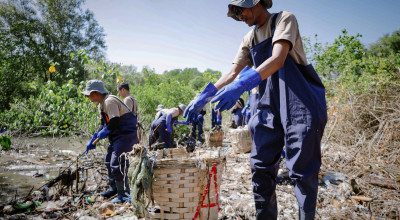 Peringati Hari Lingkungan Hidup, Freeport Indonesia Bersihkan Pantai Kemukem
