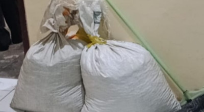 Petik Kopi Malam Hari, Dua Warga Jember Ditangkap di Perkebunan PDP Kahyangan