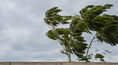 Angin Kencang Ancam 13 Daerah di Jawa Timur Hari Ini