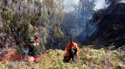 Kawasan Bromo Kembali Terbakar, Jalur Masuk Malang - Lumajang Ditutup