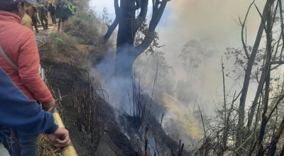 Vegetasi Mudah Terbakar dan Tebing Curam Membuat Kebakaran Gunung Bromo Meluas