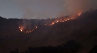 Petugas Gabungan Kesulitan Padamkan Api di Gunung Bromo