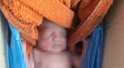 Temuan Bayi Dalam Kardus di Lamongan Gegerkan Warga