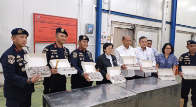 Segel 144 Ton Udang Vaname, KKP Telusuri Aktivitas Impor BMI Lamongan