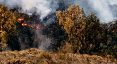 Jalur Gunung Arjuno-Welirang Kembali Dibuka, Pendaki Dilarang Buat Api Unggun