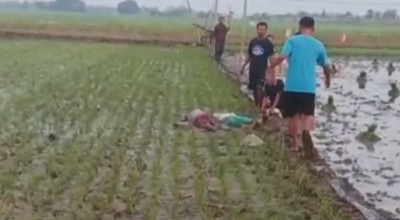 Ibu dan Anak di Bojonegoro Tewas Tersengat Listrik Jebakan Tikus
