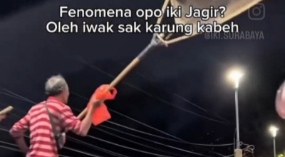 Fosfat Tembus 6 Kali Lipat Baku Mutu, Ikan di Sungai Jagir Surabaya Mati