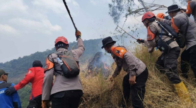 Angin Picu Api Kembali Membesar di Lereng Gunung Arjuno