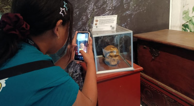 138 Tahun Lalu Fosil Homo Wajakensis Ditemukan di Tulungagung