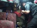 K-9 milik BNNP Jatim melacak narkoba yang diangkut bus yang digeledah di Tol Warugunung, Surabaya