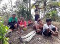 Warga Pancer Banyuwangi sempat mengungsi di Bukit Sainem akibat gempa di Jembrana, Bali