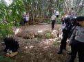 Tim Penjinak Bom Brimob mengevakuasi granat nanas di Magetan