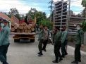 Gudang Penyimpanan Kayu Jati Diduga Ilegal di Banyuwangi Digerebek