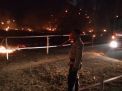 Foto : Gudang Berisi 91 Ton Tembakau Ludes Terbakar di Jember