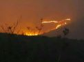Kebakaran di Taman Nasional Bromo Tengger Semeru/Foto Humas TNBTS for jatimnow.com 