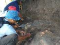Struktur Pondasi dan Anak Tangga Ditemukan di Situs Candi Gedog Blitar