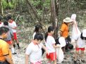 Hari Peduli Sampah, Pelajar Surabaya Ini Punguti Plastik di Mangrove