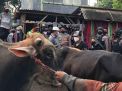 Satgas Covid-19 Bergerak ke Pasar Hewan Probolinggo, 3 Orang Positif