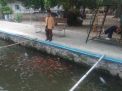 Dulu Dipenuhi Sampah, Sungai di Mojokerto Kini Jadi Budidaya Ikan