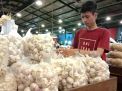 Pedagang bawang putih di PIOS