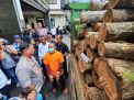 Praktik Illegal Logging di Tulungagung Dibongkar, Satu Orang Ditangkap